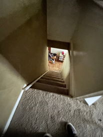 A169C9F6-4FDE-4994-A7EB-DF54760EF428