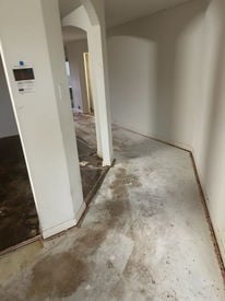 B86393DB-0DC9-4E82-81B5-A918E03E6413