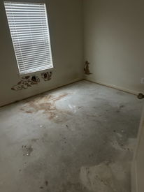 D2F8A7EB-0639-4BCB-B99F-8E862064B9B9