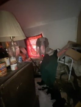 Screenshot 2026-04-03 at 12.03.49 AM