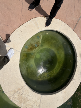 Screenshot 2026-04-03 at 1.40.37 AM