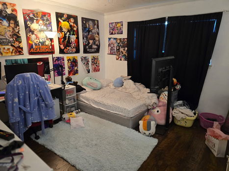 image3 (4)