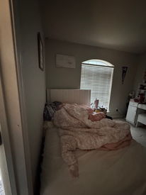 IMG_1484