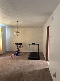 IMG_4873