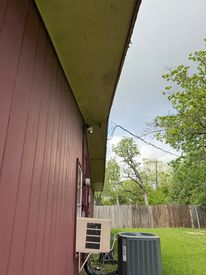 IMG_7438