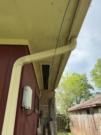 IMG_7442