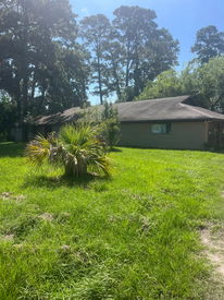image1 (7)