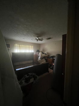 image3 (8)