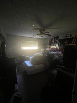 image4 (8)