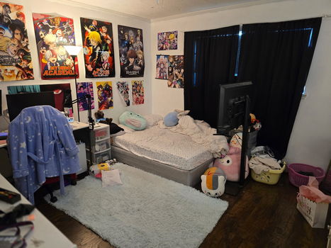 image3 (4)