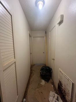 IMG_5166