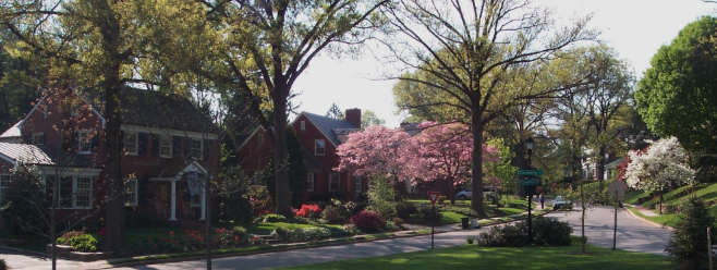 Screenshot 2026-03-30 at 10.17.11 AM