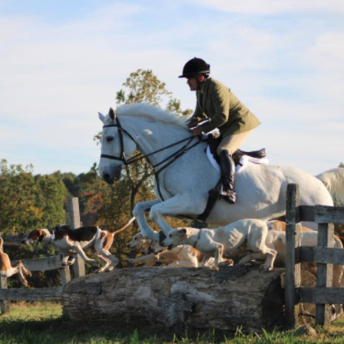 Monkton, Baltimore County MD: The Heart of Maryland’s Horse Country and 10,000 Acres of Preserved Land