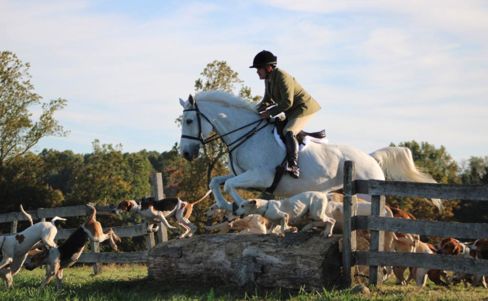 Monkton, Baltimore County MD: The Heart of Maryland’s Horse Country and 10,000 Acres of Preserved Land