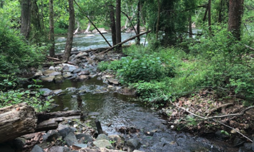 Parkton, Baltimore County MD: Where the He&hellip;