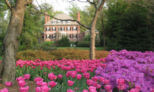 Guilford, Baltimore MD: Baltimore’s Premie…