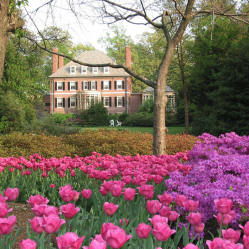 Guilford, Baltimore MD: Baltimore’s Premier Olmsted-Designed Neighborhood and Home to the Famous Sherwood Gardens