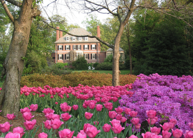 The Balcerzak Group Baltimore's Best Realtors