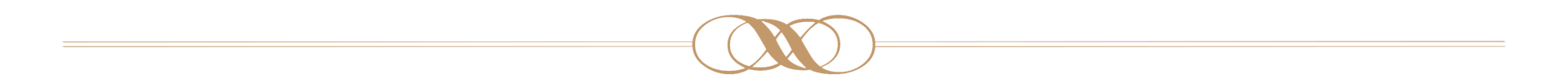 logo-divider