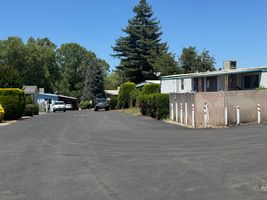 IMG_8875