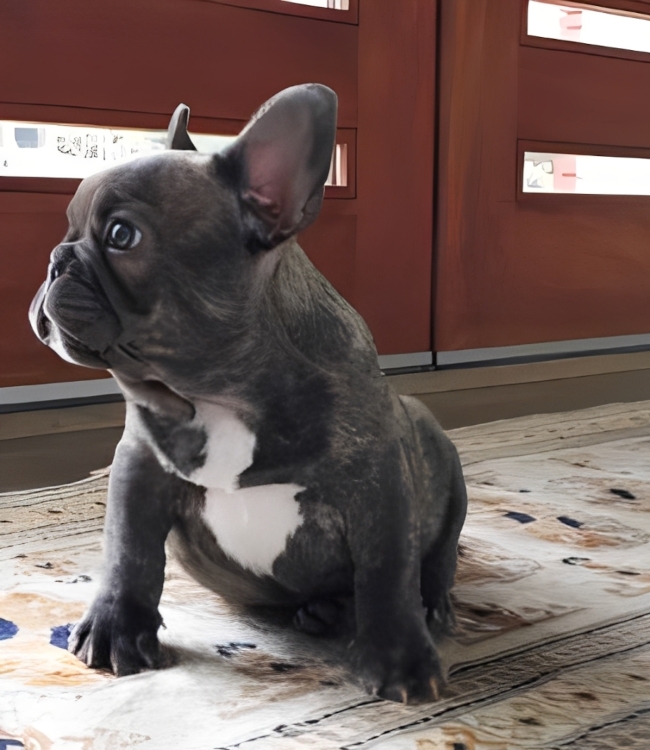 Rico-Suave-photo-Chloe