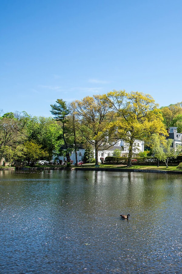 A-view-of-waterfront-houses