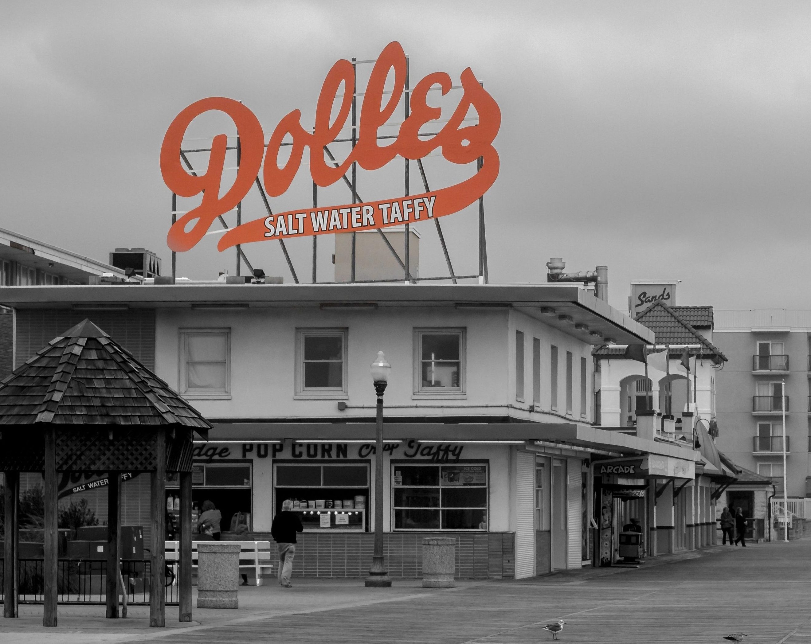 shutterstock_2216526101