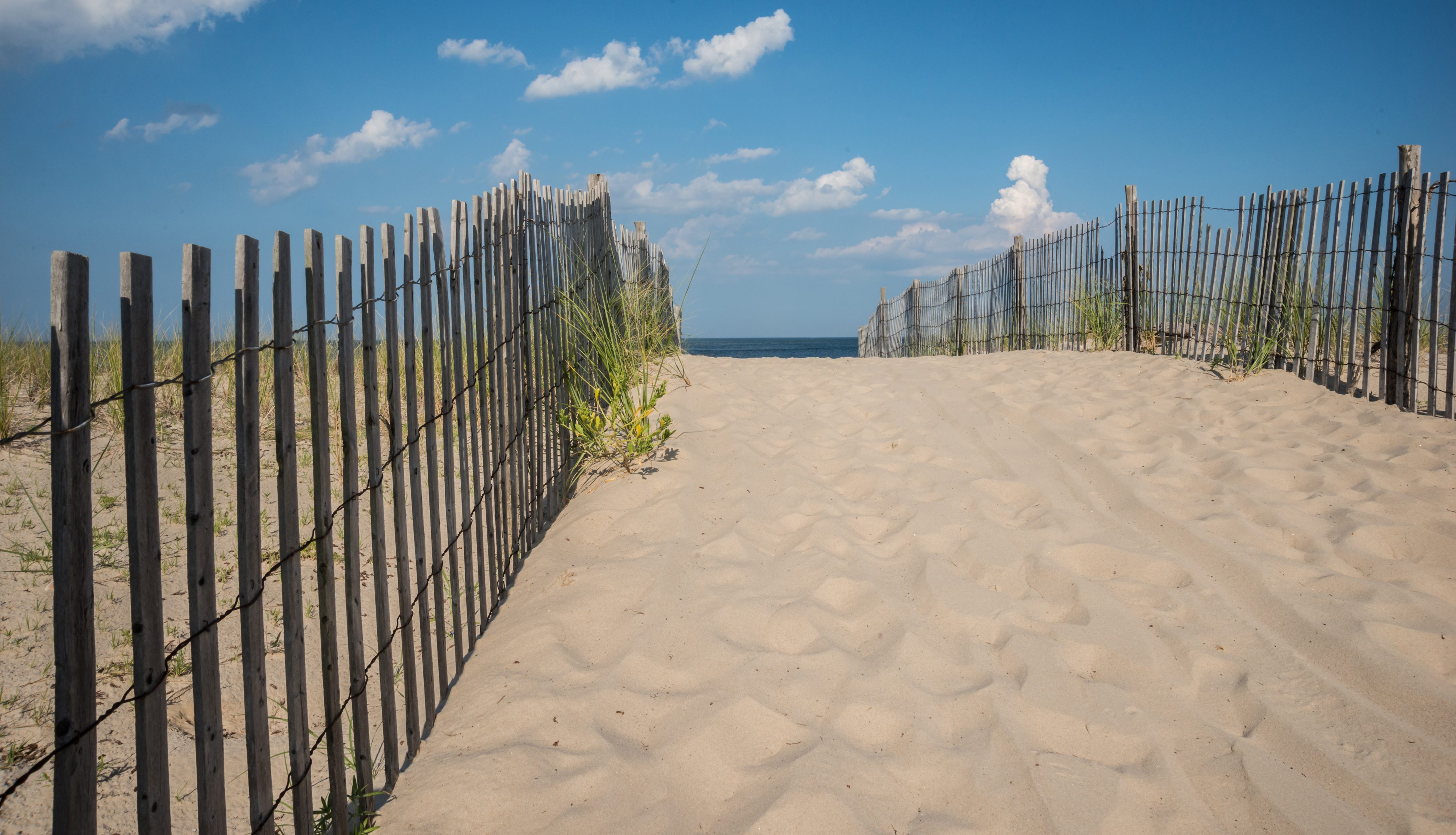 shutterstock_607311686