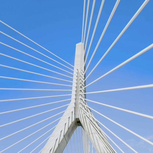 Charlestown vs. Back Bay vs. the South End: Where Your Dollar Actually Goes Furthest