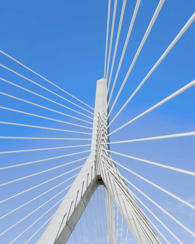 7 Boston Condo Association Red Flags Every Buyer Should Spot Before Signing the P&S