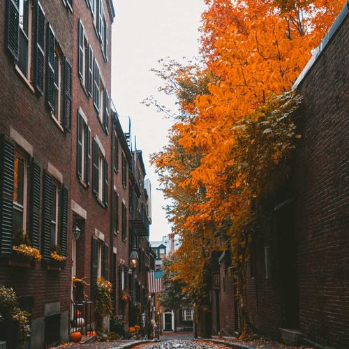 The 2026 Buyer's Guide to North End Condos With Parking (And What Each Type Actually Costs You)