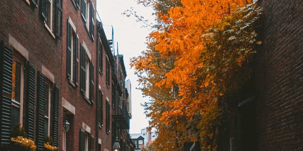 The 2026 Buyer's Guide to North End Condos &hellip;