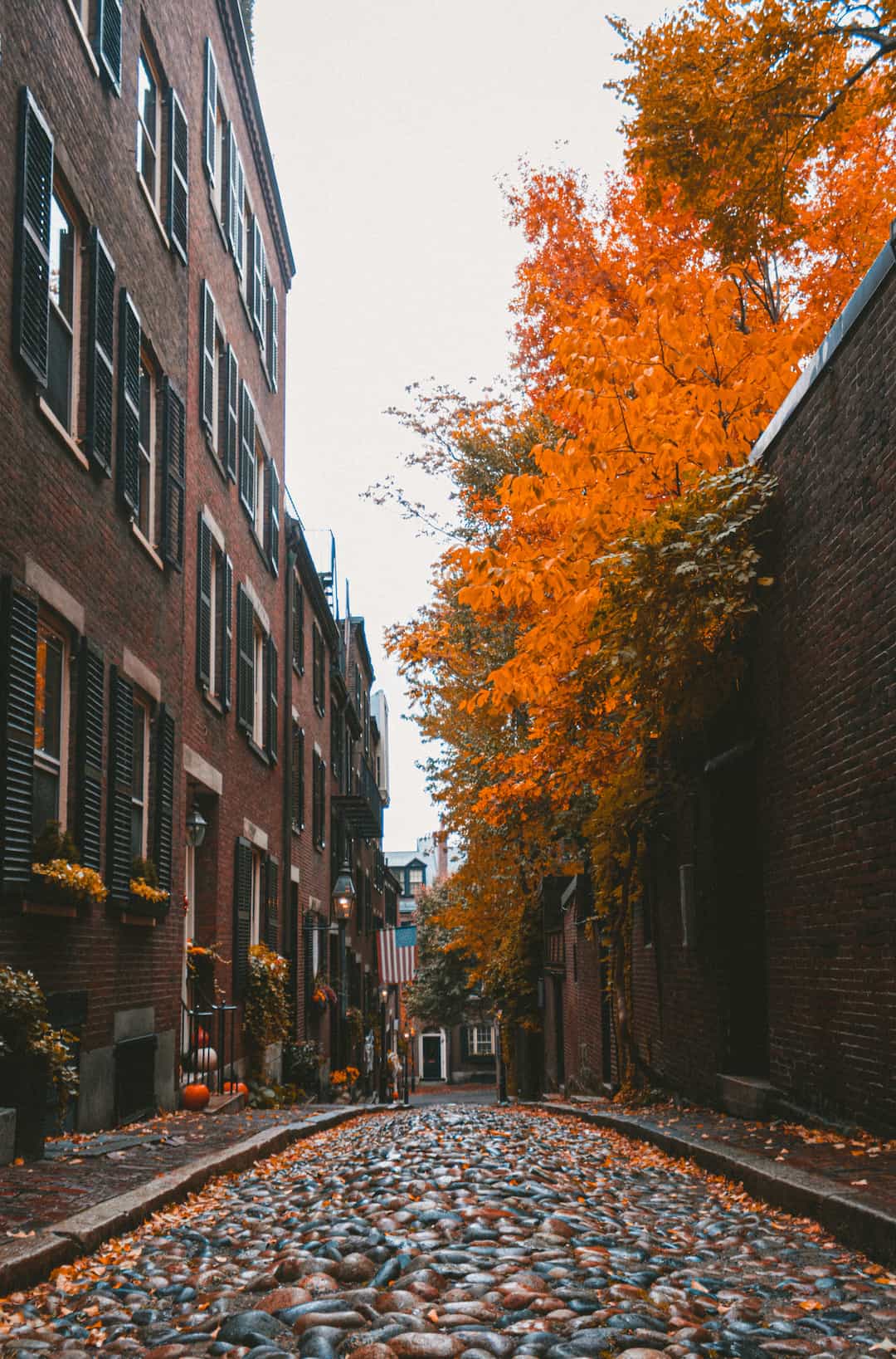 The 2026 Buyer's Guide to North End Condos &hellip;