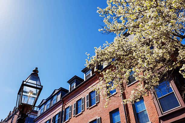 The True Cost of Owning a North End Condo