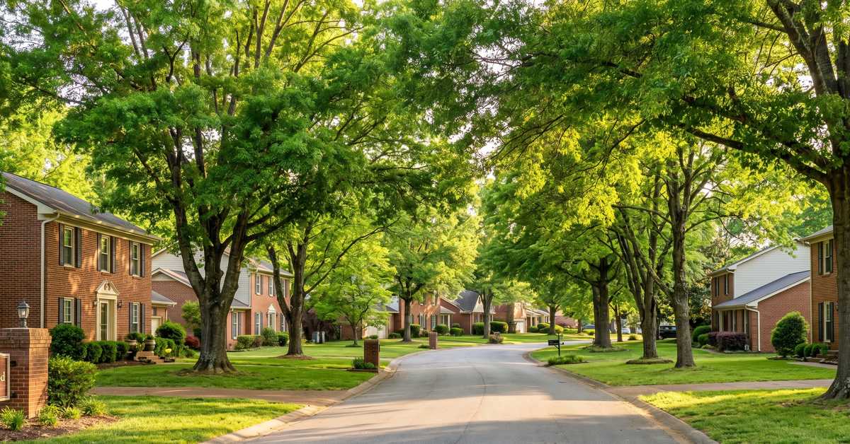 colonial-acres-hendersonville-tn-tree-lined-street
