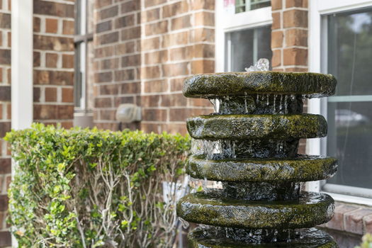 44-web-or-mls-DSC02862