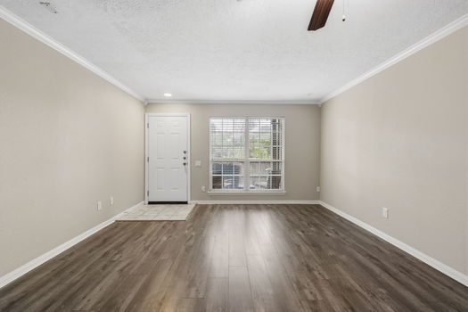 11-web-or-mls-DSCF5467