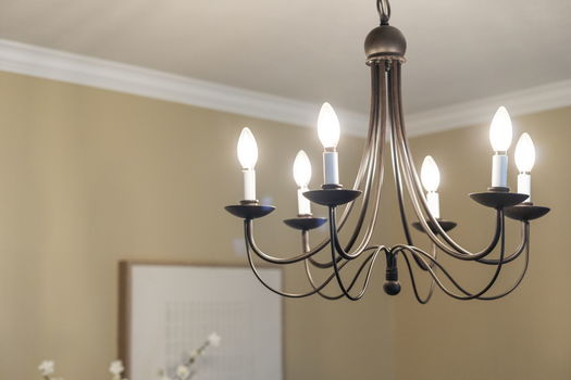 50-web-or-mls-DSC02297