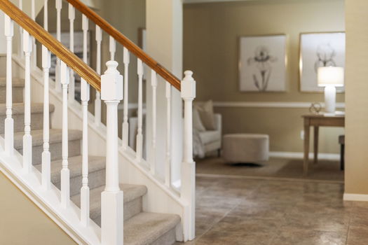 51-web-or-mls-DSC02299