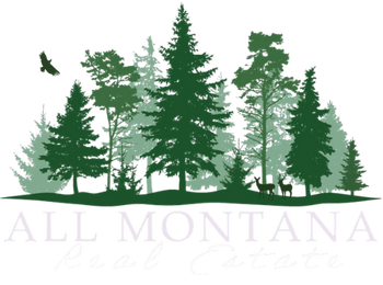 AllMontanaRealEstate-NOBG-White