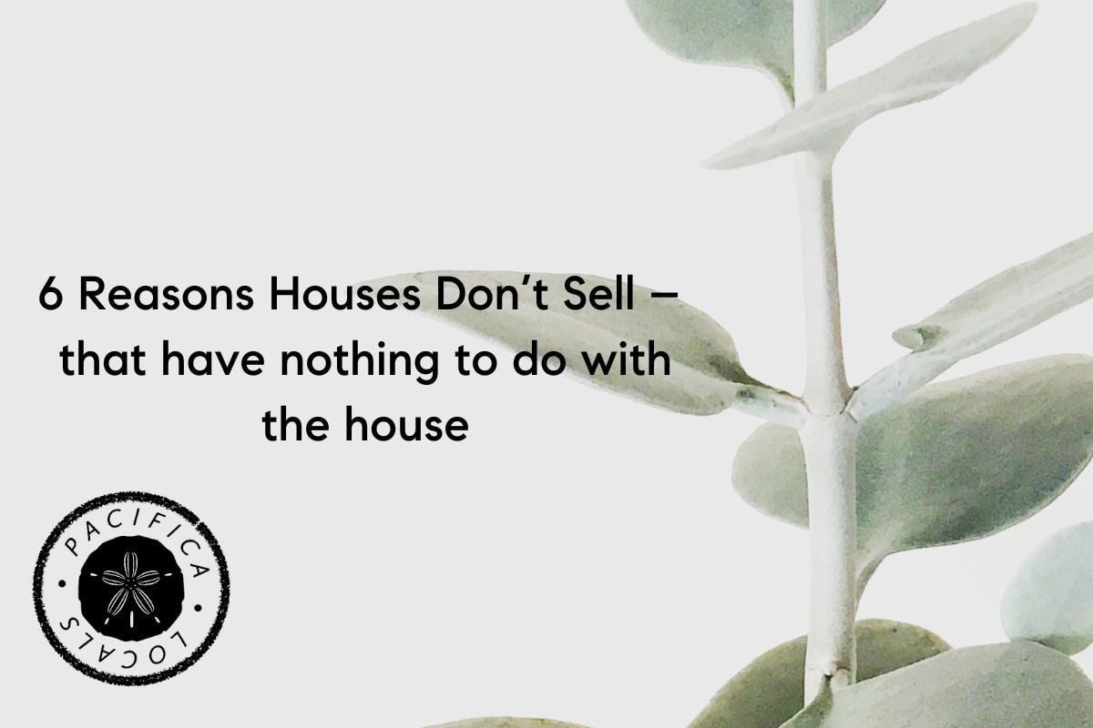 text: Reasons Houses Don’t Sell. green twig on the right