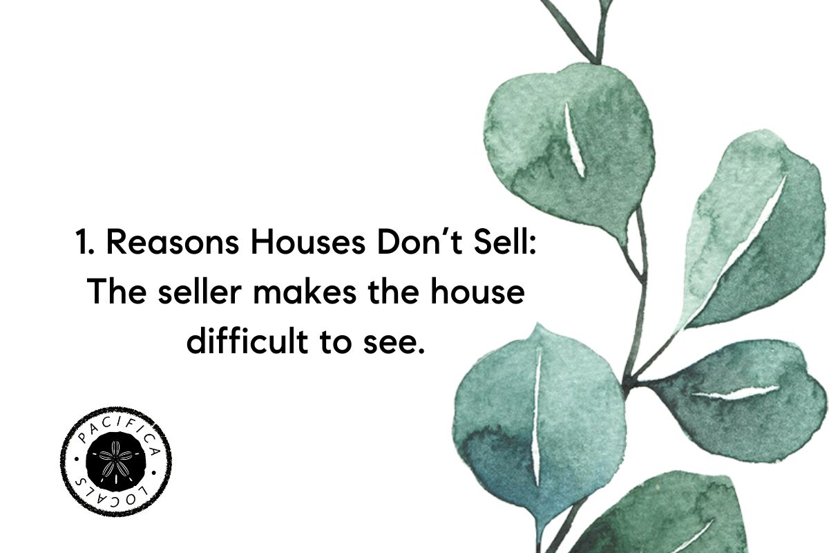 text: Reasons Houses Don’t Sell seller makes it difficult to see. white background with green twig