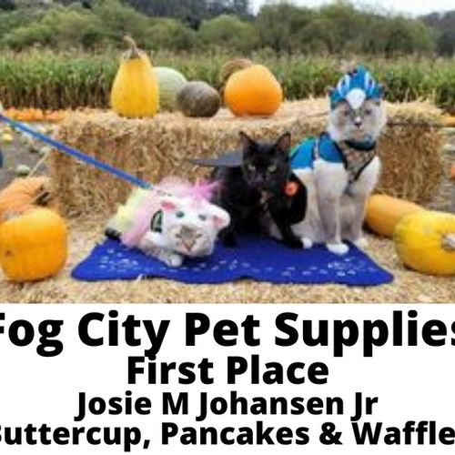 Congratulations to these Pacifica Pets! They Won Fog City Pet Supplies Annual Costume Contest!