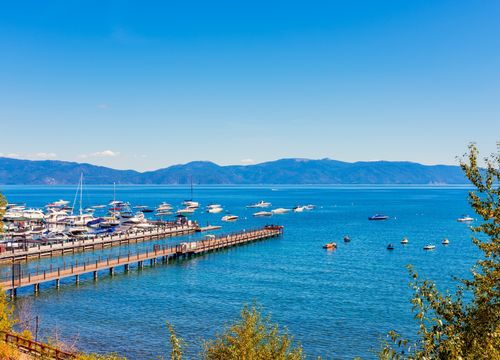 shutterstock_1662487171 (1)