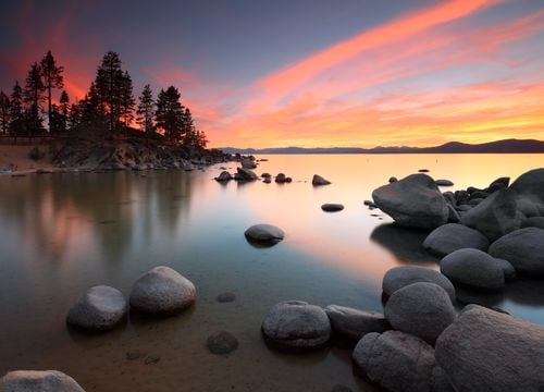 shutterstock_2500776933 (1)