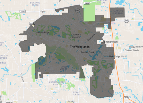the woodlands.png