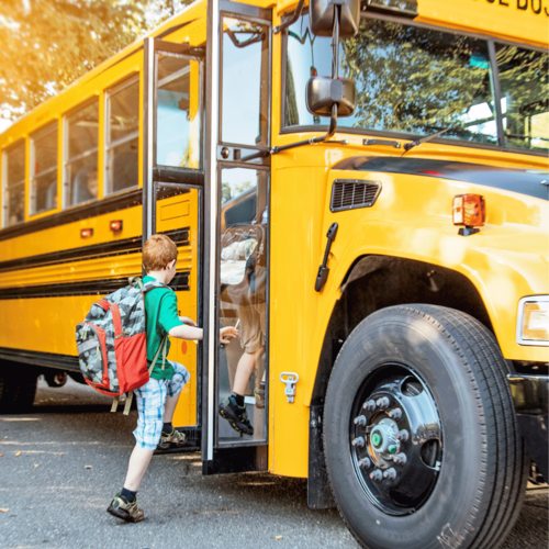 Back-to-School Home Organization Tips for Calgary Families