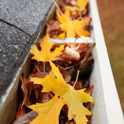 How Regular Gutter Cleaning Can Save You Money in the Long Run