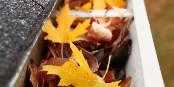 How Regular Gutter Cleaning Can Save You Money &hellip;
