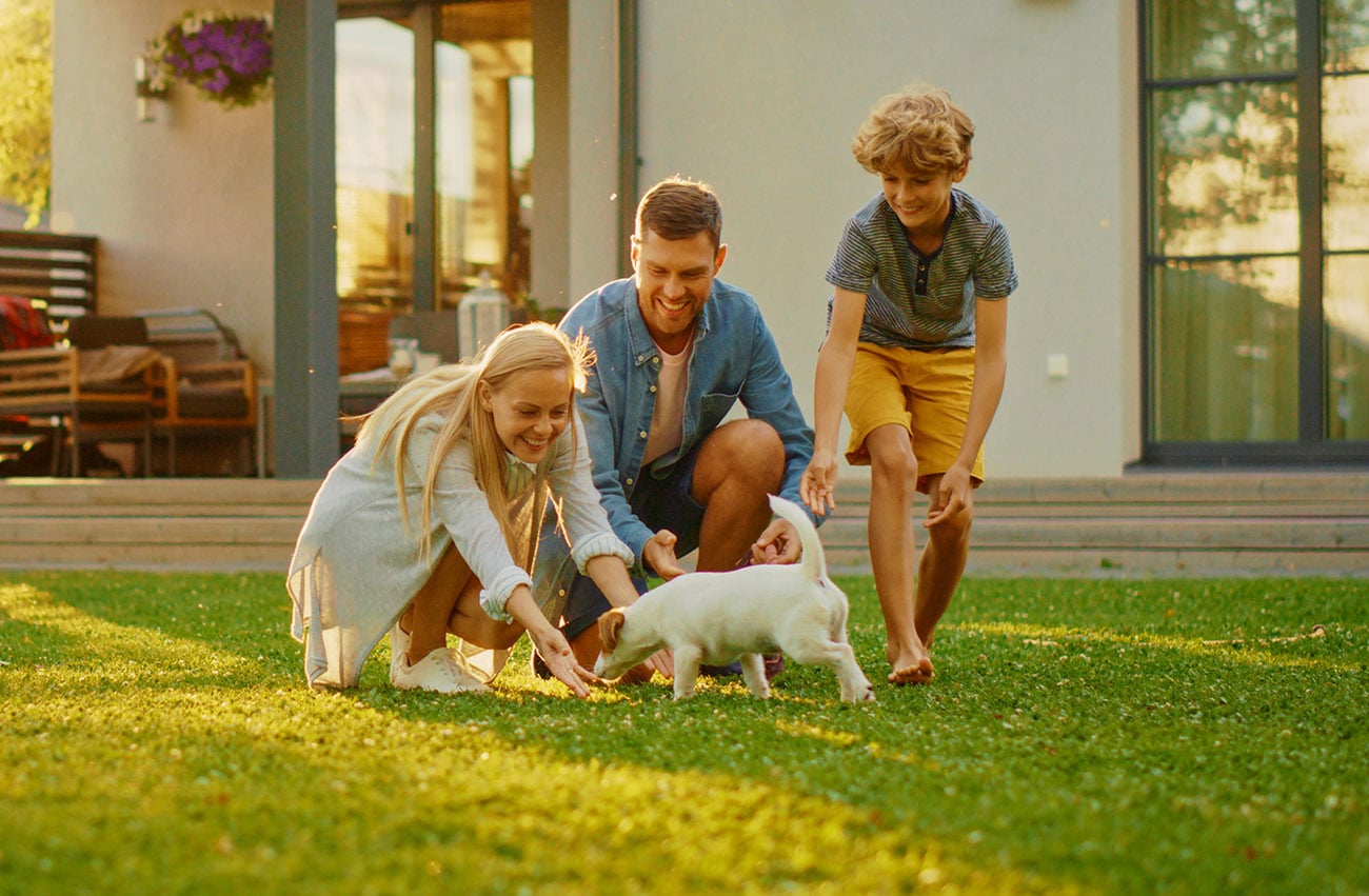 Smiling,Father,,Mother,And,Son,Pet,And,Play,With,Smooth